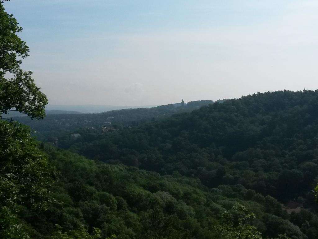 Villa Weitblick Eisenach Esterno foto